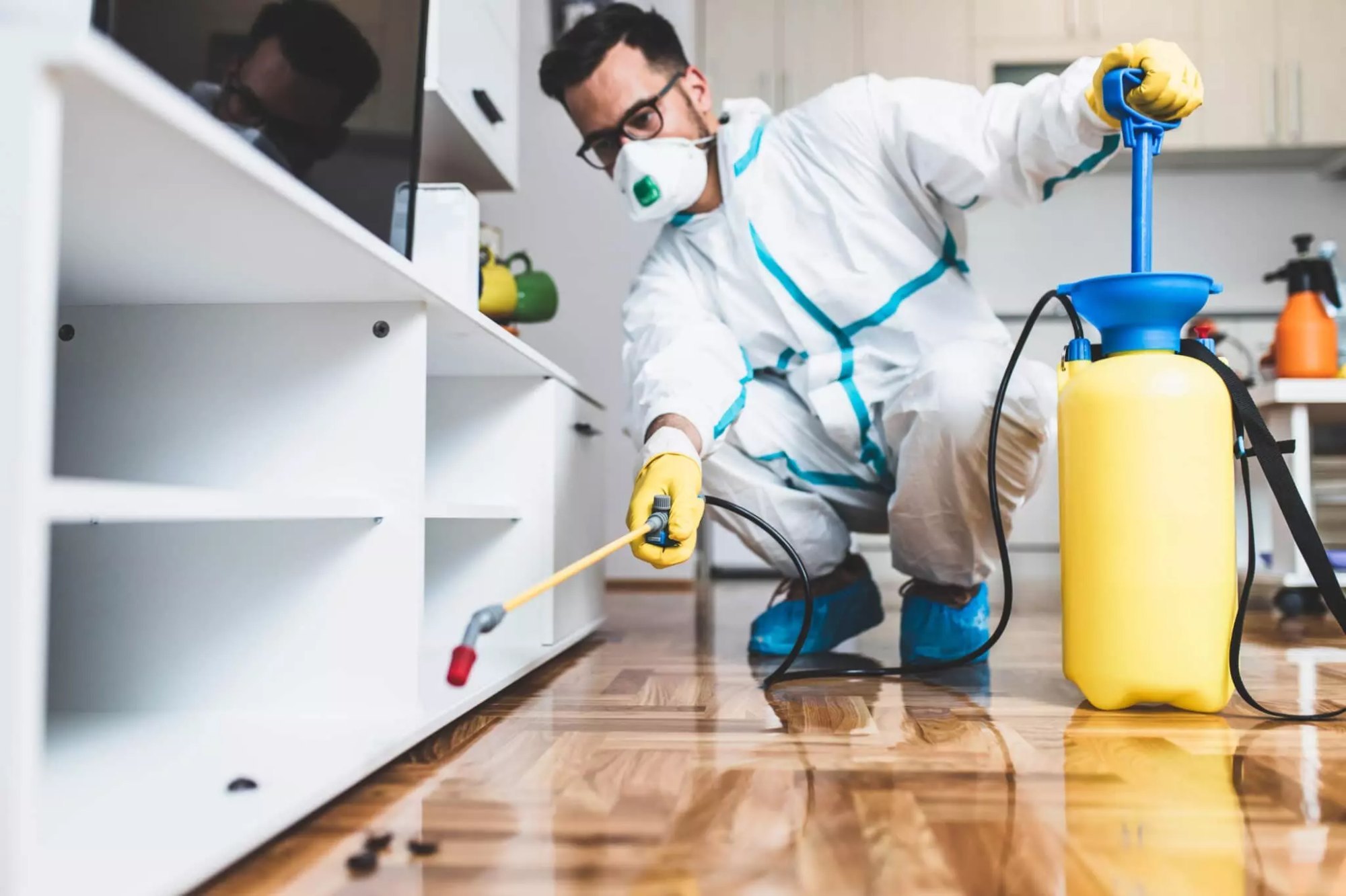 Residential Pest Control